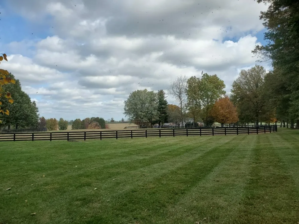 Custom garden landscaping experts serving Lexington, KY - Lawn Care Jhon Strong