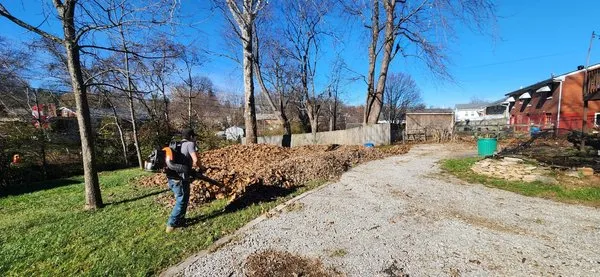 Lawn Care Jhon Strong Logo