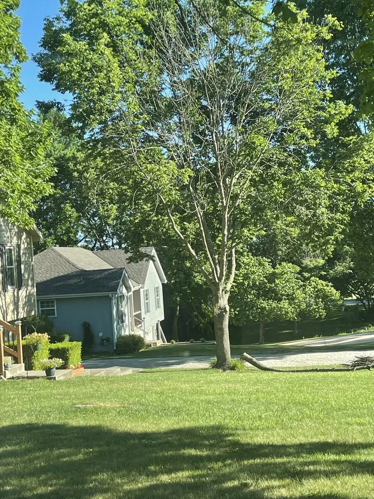 Local outdoor landscaping near you in Belton, MO by Lawn Care John By John Myers