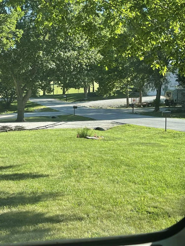 Top-rated lawn mowing service in Belton, MO - Lawn Care John By John Myers