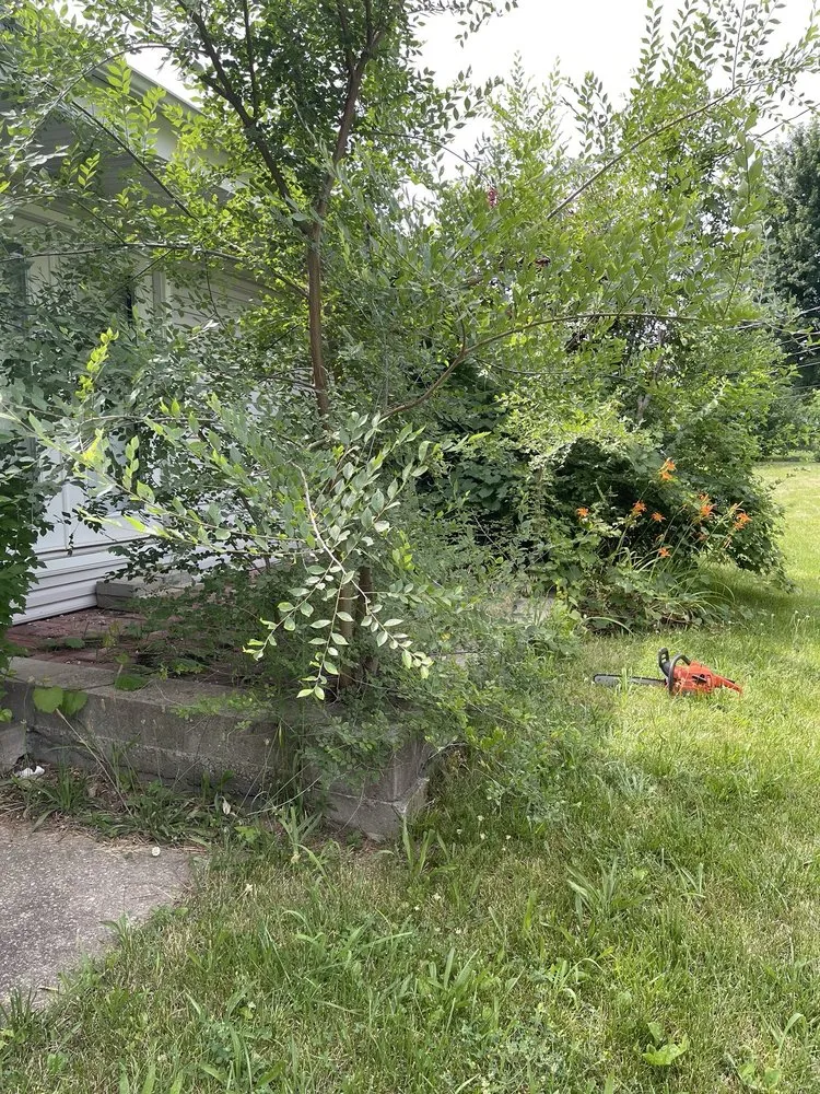 Custom lawn care service experts serving Belton, MO - Lawn Care John By John Myers