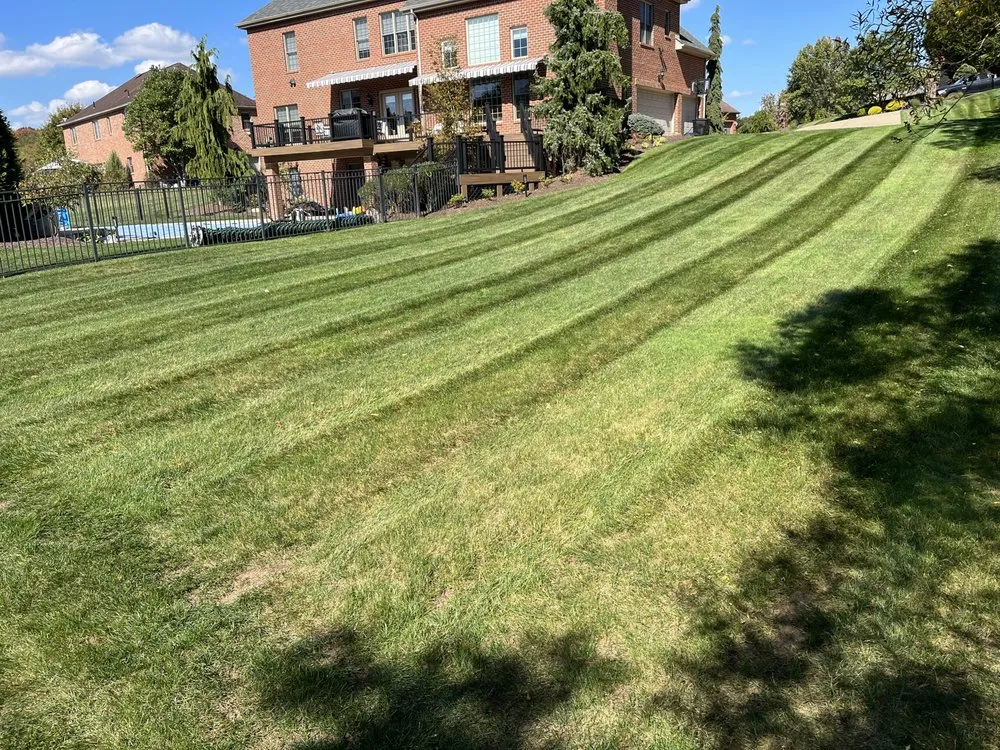 Trusted landscape installation experts serving Export, PA - Lawn Care Kings