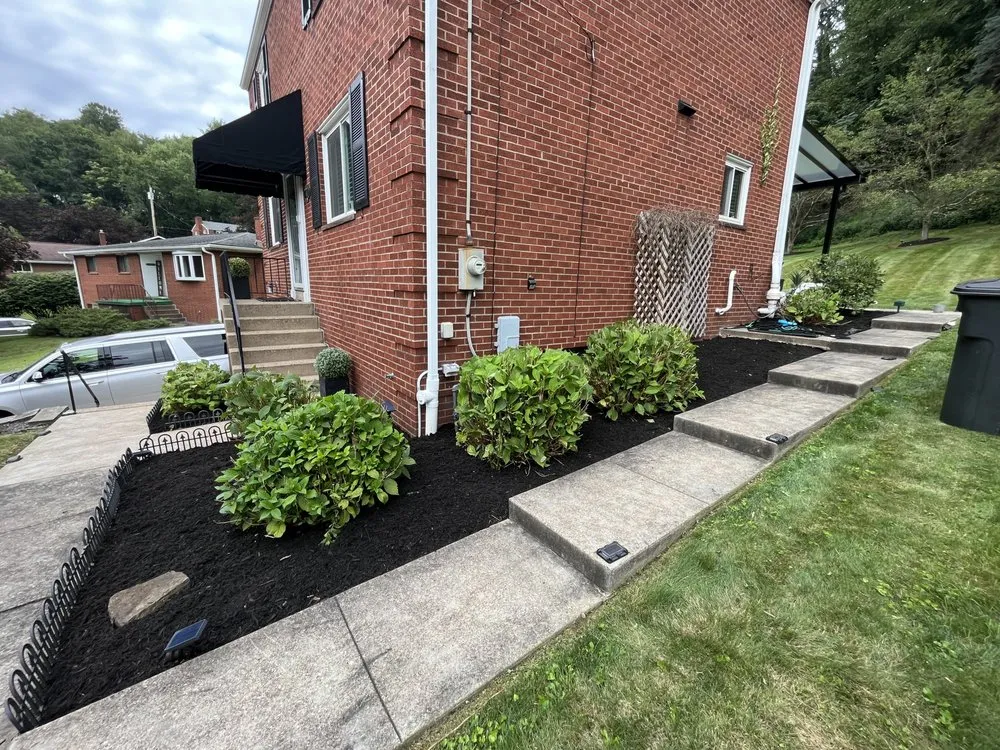 Trusted yard cleanup service in Export, PA - Lawn Care Kings