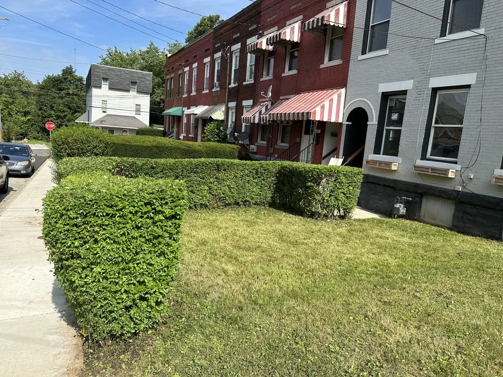 Reliable landscape installation near you in Export, PA by Lawn Care Kings