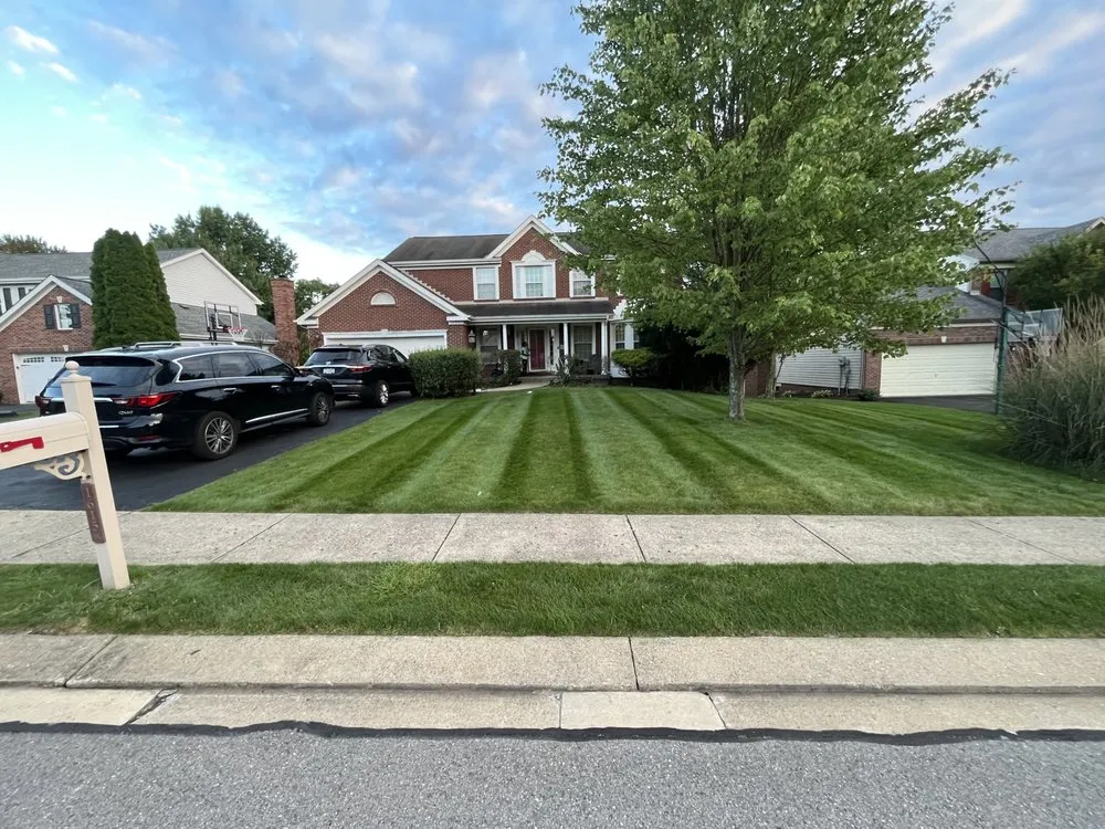 Professional yard maintenance in Export, PA - Lawn Care Kings