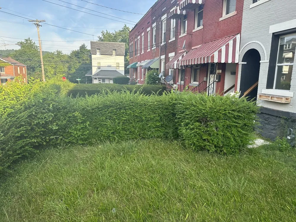 Professional landscape design with custom design in Export, PA by Lawn Care Kings