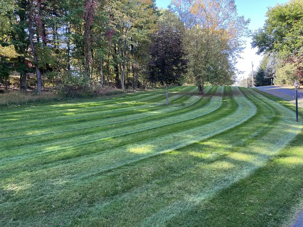 Top-rated lawn care service in Export, PA by Lawn Care Kings
