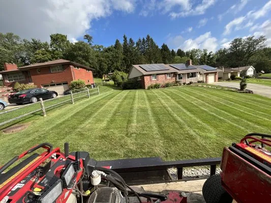 Lawn Care Kings Logo