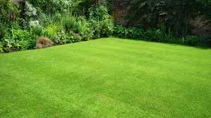 Expert yard maintenance for year-round maintenance across Plano, TX - Lawn Care Lawn Weed Control