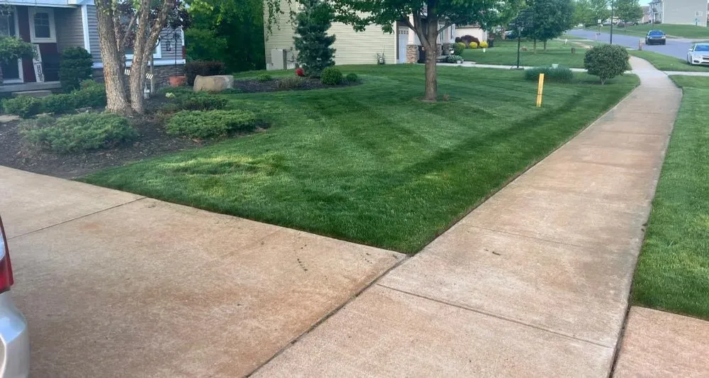 Reliable yard cleanup service in Caledonia, MI - Lawn Care Line Up