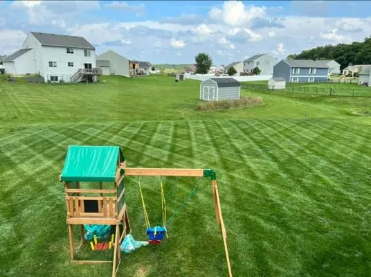 Lawn Care Line Up Logo