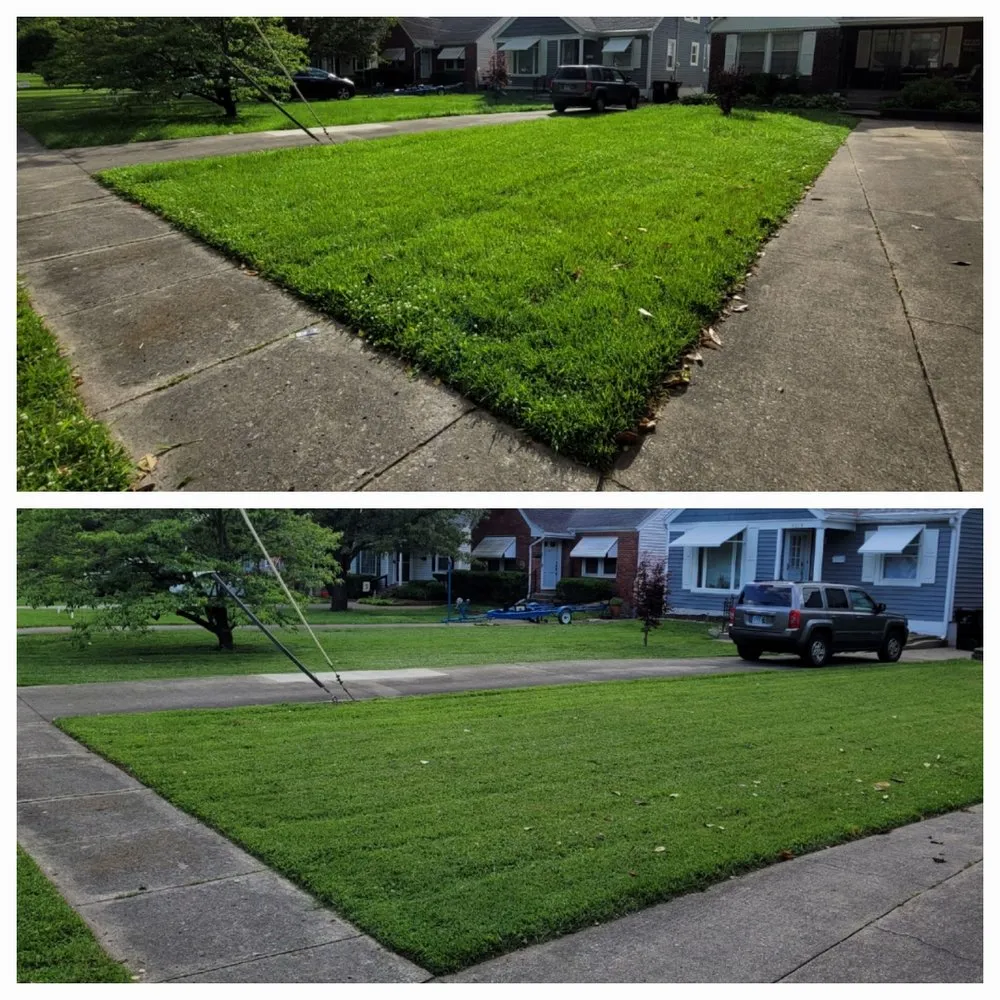 Trusted yard cleanup service in Louisville, KY by Lawn care logistics