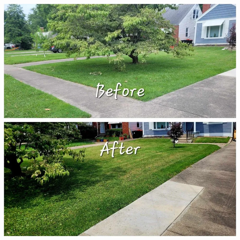 Affordable landscape installation for residential properties in Louisville, KY by Lawn care logistics