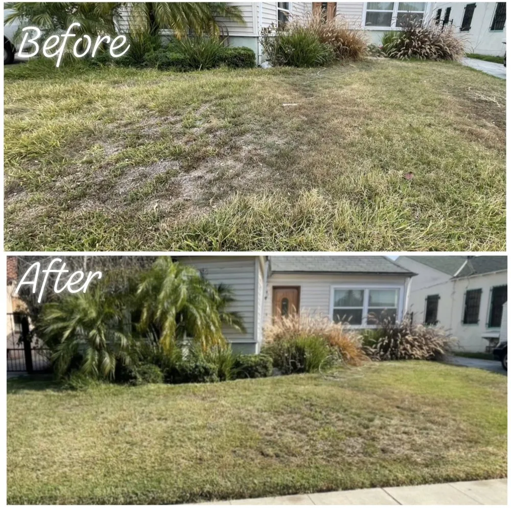 Custom residential landscaping experts serving Los Angeles, CA - Lawn Care
