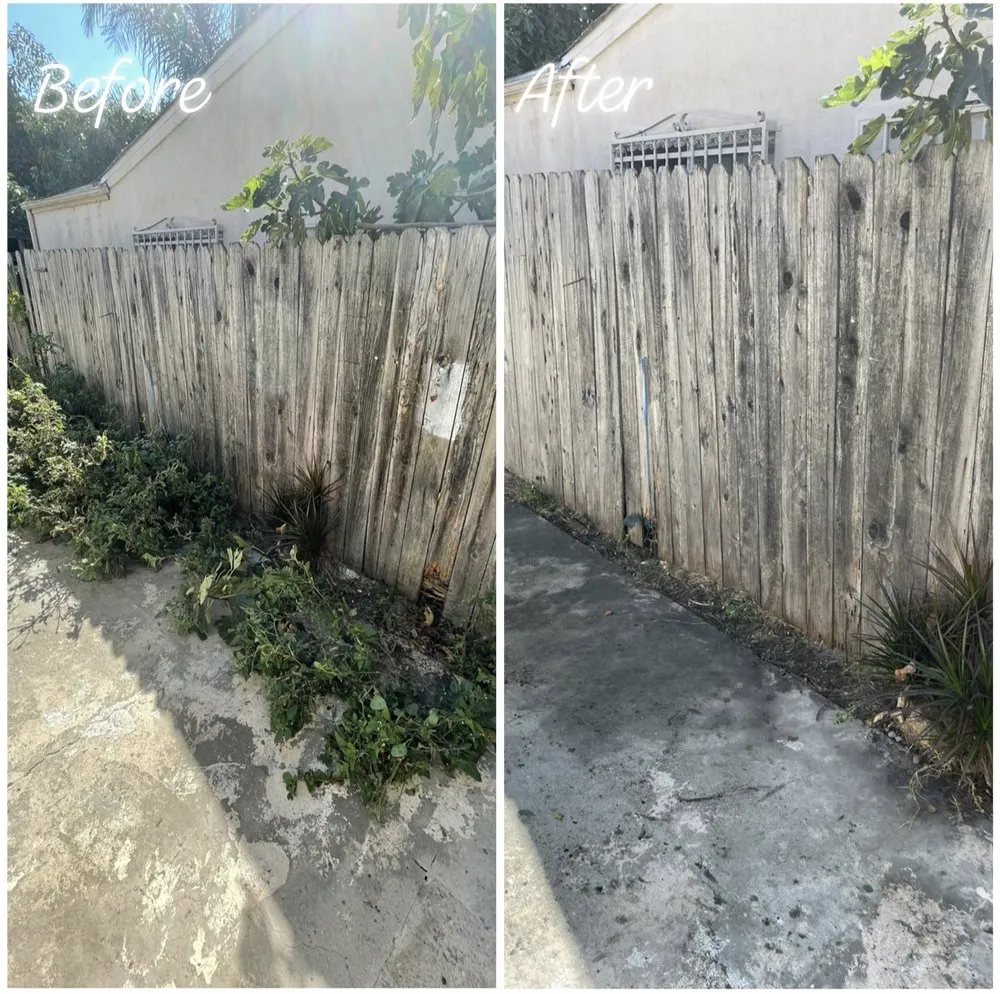 Professional lawn mowing service experts serving Los Angeles, CA - Lawn Care