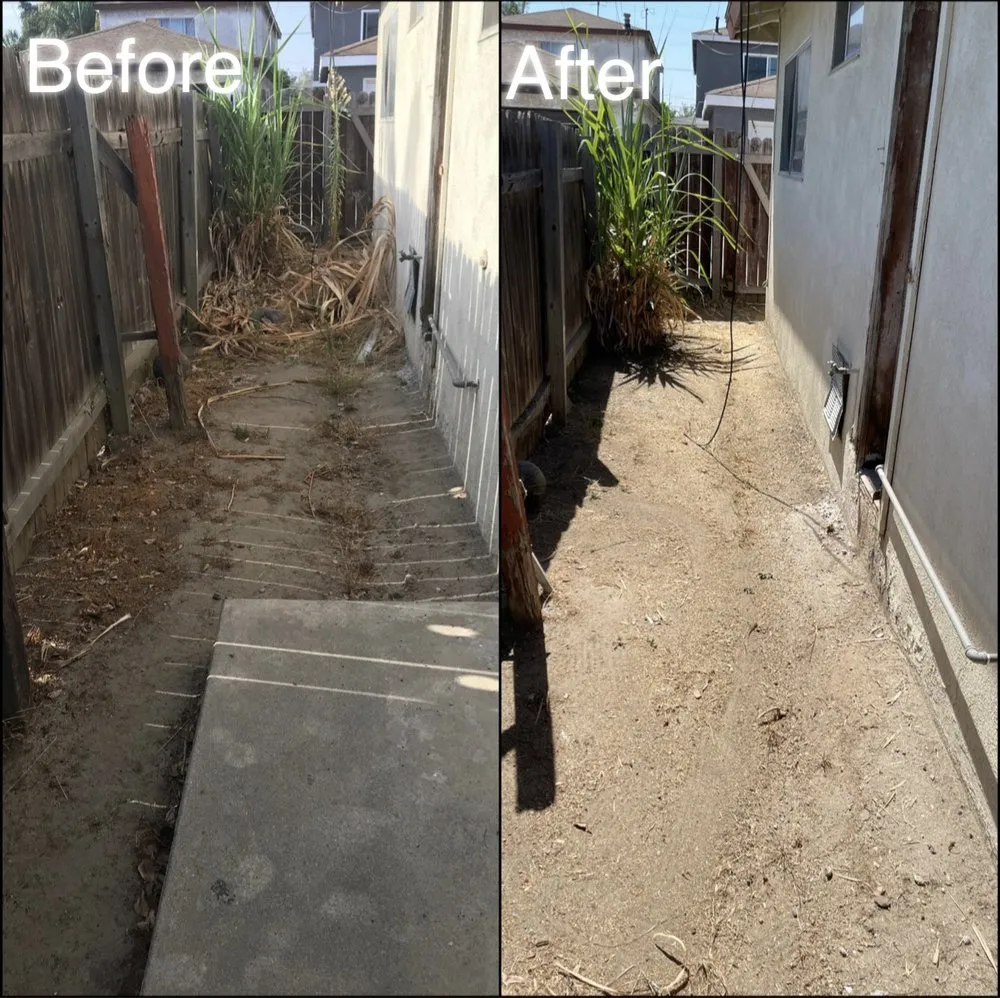 Affordable garden landscaping near you across Los Angeles, CA - Lawn Care