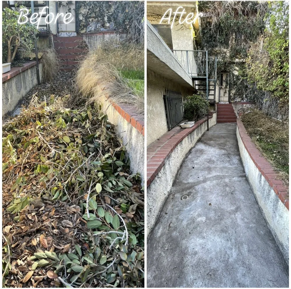 Custom residential landscaping for homes across Los Angeles, CA - Lawn Care