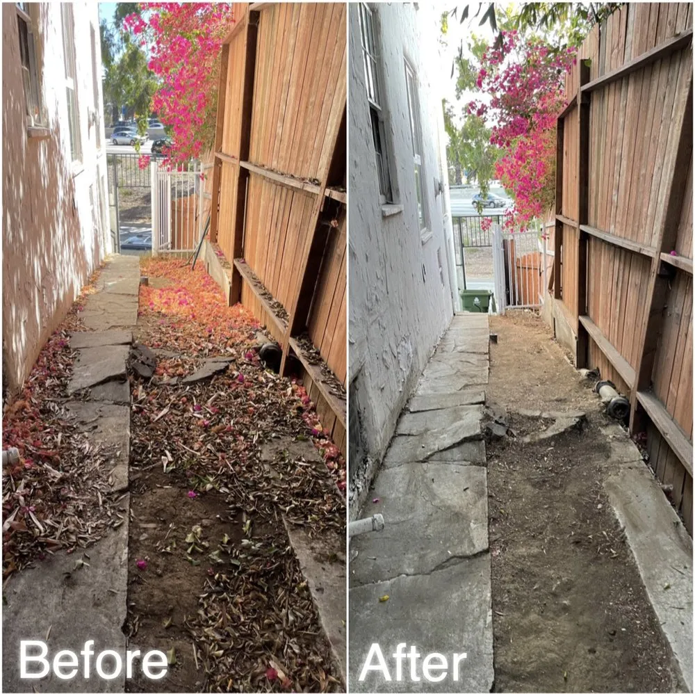 Local yard cleanup service in Los Angeles, CA by Lawn Care