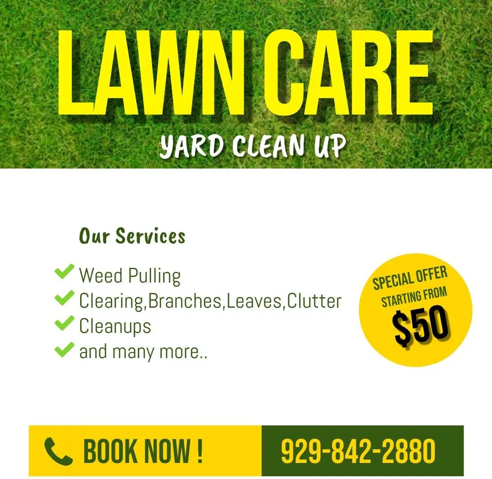 Trusted residential landscaping in Los Angeles, CA by Lawn Care