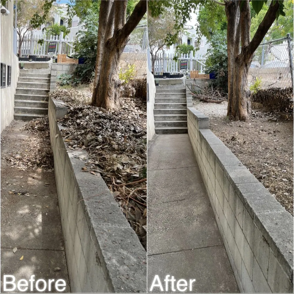 Reliable lawn care service near you in Los Angeles, CA by Lawn Care