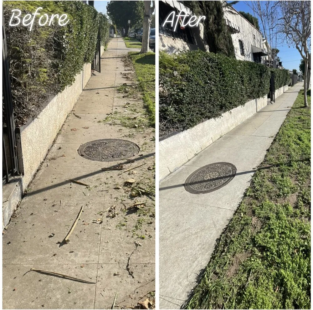 Local garden landscaping experts serving Los Angeles, CA - Lawn Care