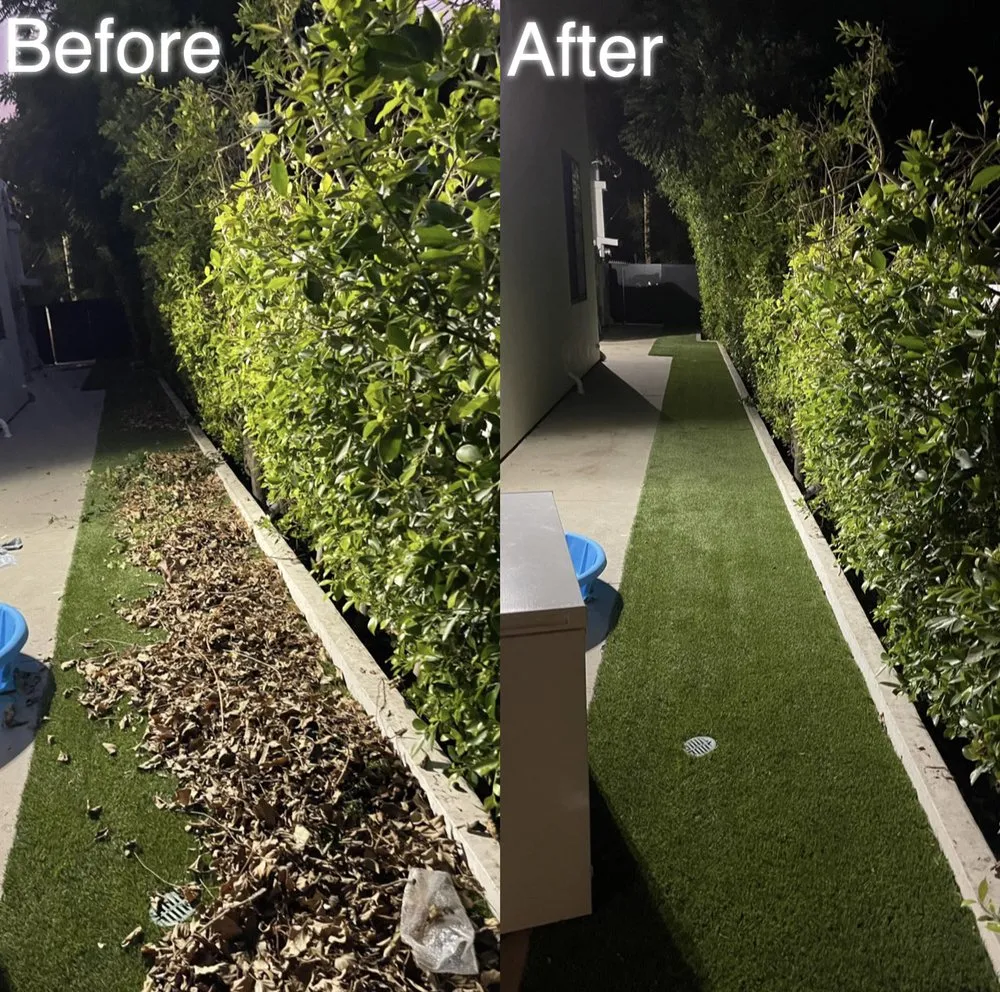 Top-rated yard maintenance in Los Angeles, CA - Lawn Care