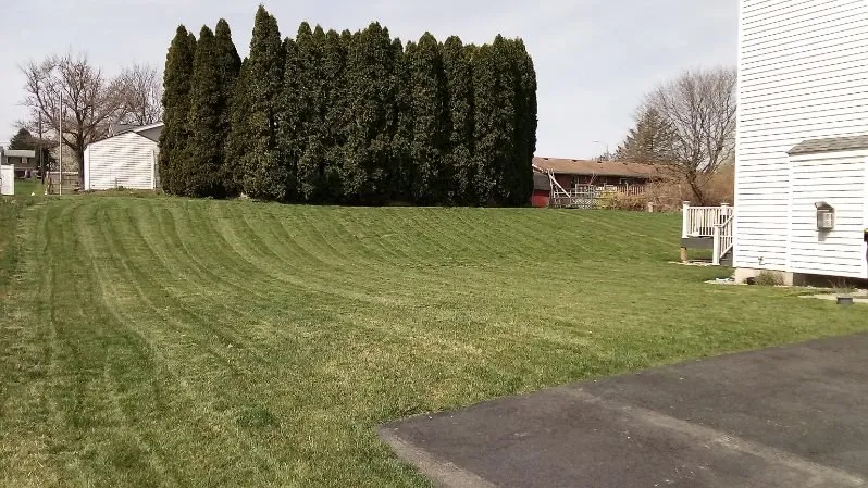 Trusted yard cleanup service experts serving EASTON, PA - Lawn Care Magic