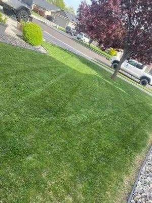 Lawn Care Man Logo