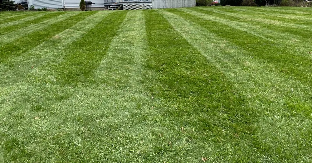 Custom yard cleanup service for year-round maintenance in Galion, OH by Lawn Care Masters