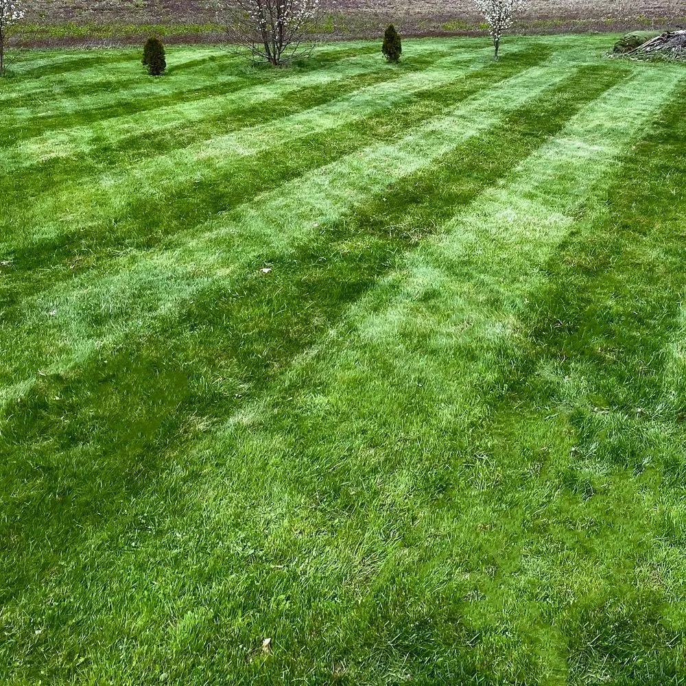 Expert landscape installation in Galion, OH - Lawn Care Masters