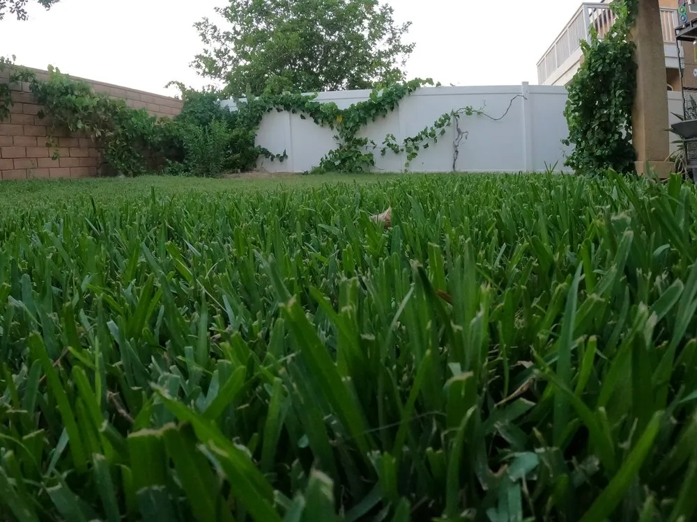 Reliable yard maintenance for residential properties in Wildomar, CA by Lawn Care Masters