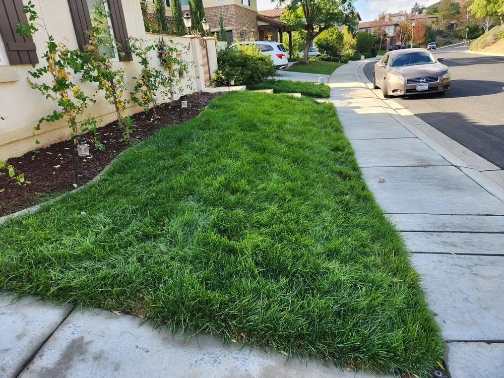 Custom garden landscaping in Wildomar, CA - Lawn Care Masters