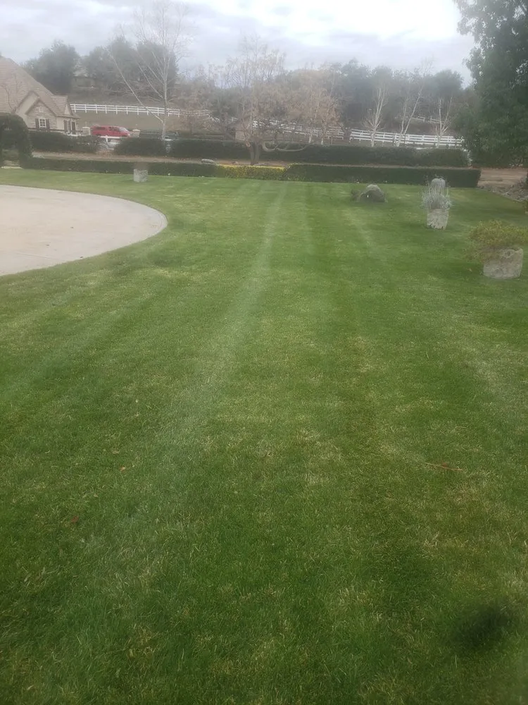 Expert residential landscaping in Wildomar, CA by Lawn Care Masters