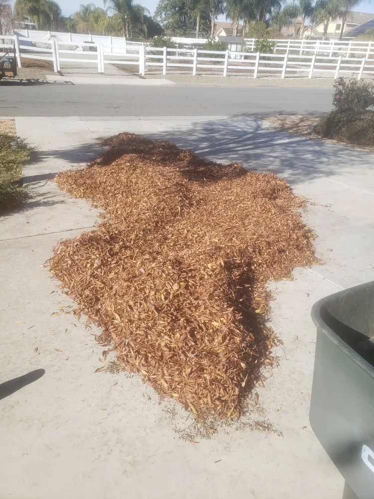 Local residential landscaping in Wildomar, CA - Lawn Care Masters