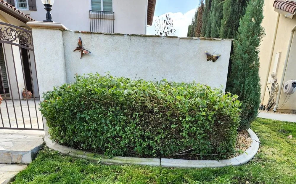 Top-rated yard maintenance for homes in Wildomar, CA by Lawn Care Masters