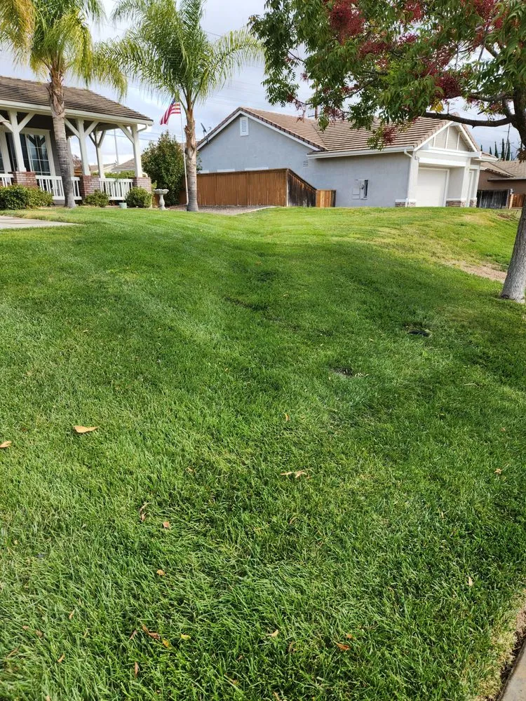 Top-rated lawn mowing service for year-round maintenance in Wildomar, CA by Lawn Care Masters