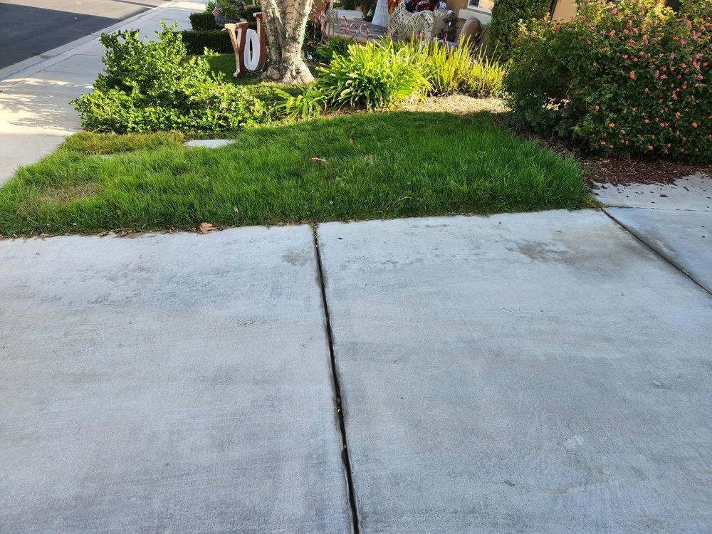 Expert yard cleanup service in Wildomar, CA by Lawn Care Masters