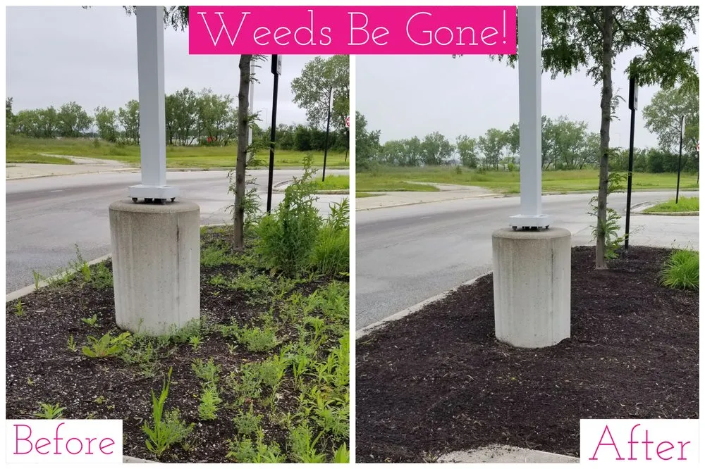 Professional landscape installation in Chicago, IL by Lawn Care Maven