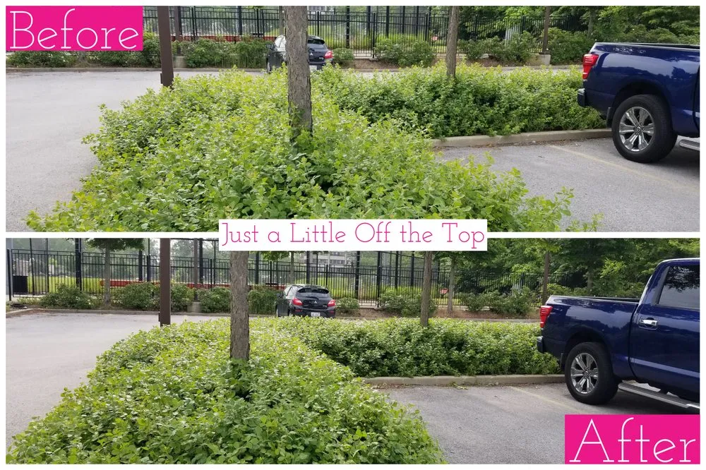 Expert outdoor landscaping in Chicago, IL by Lawn Care Maven