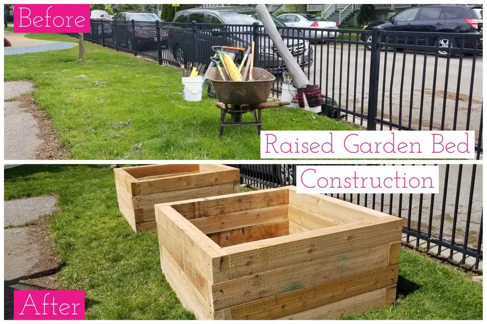 Local lawn mowing service experts serving Chicago, IL - Lawn Care Maven