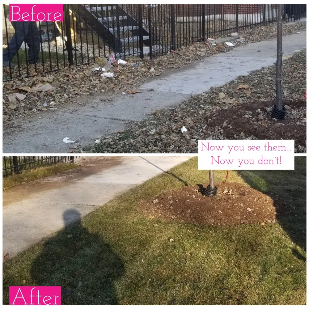 Reliable landscape installation experts serving Chicago, IL - Lawn Care Maven