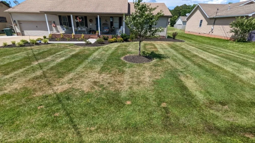 Reliable landscape design in Madisonville, KY - Lawn Care Monster