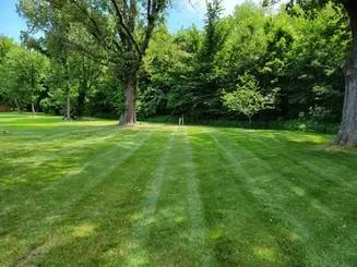 Local landscape design experts serving Madisonville, KY - Lawn Care Monster