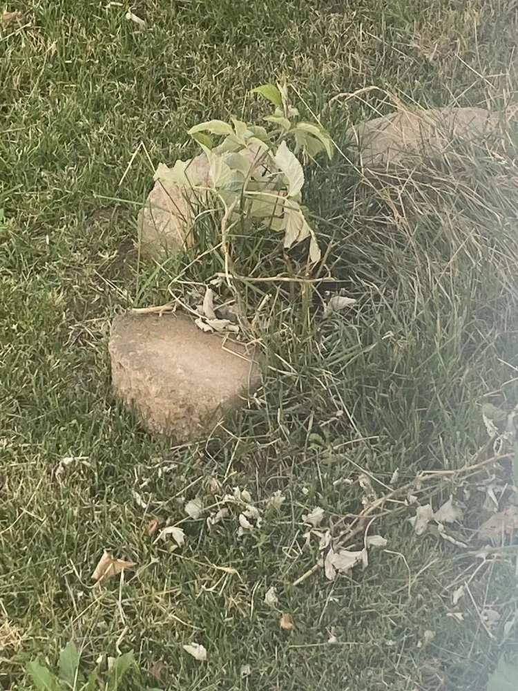 Local garden landscaping in Kearns, UT - Lawn Care MVP