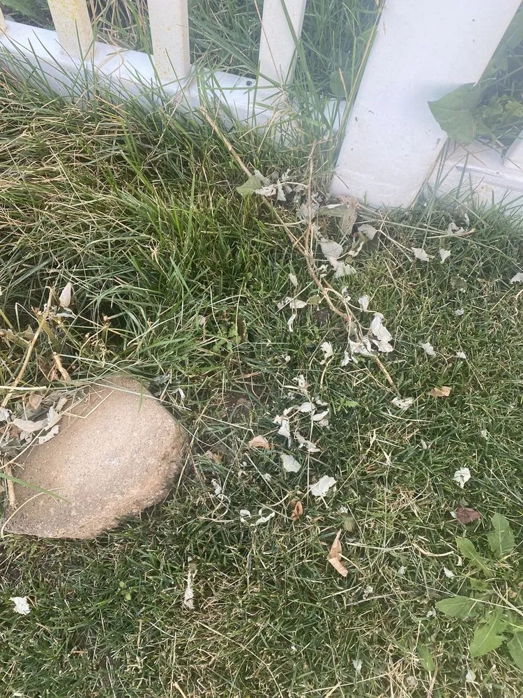 Local outdoor landscaping for year-round maintenance across Kearns, UT - Lawn Care MVP