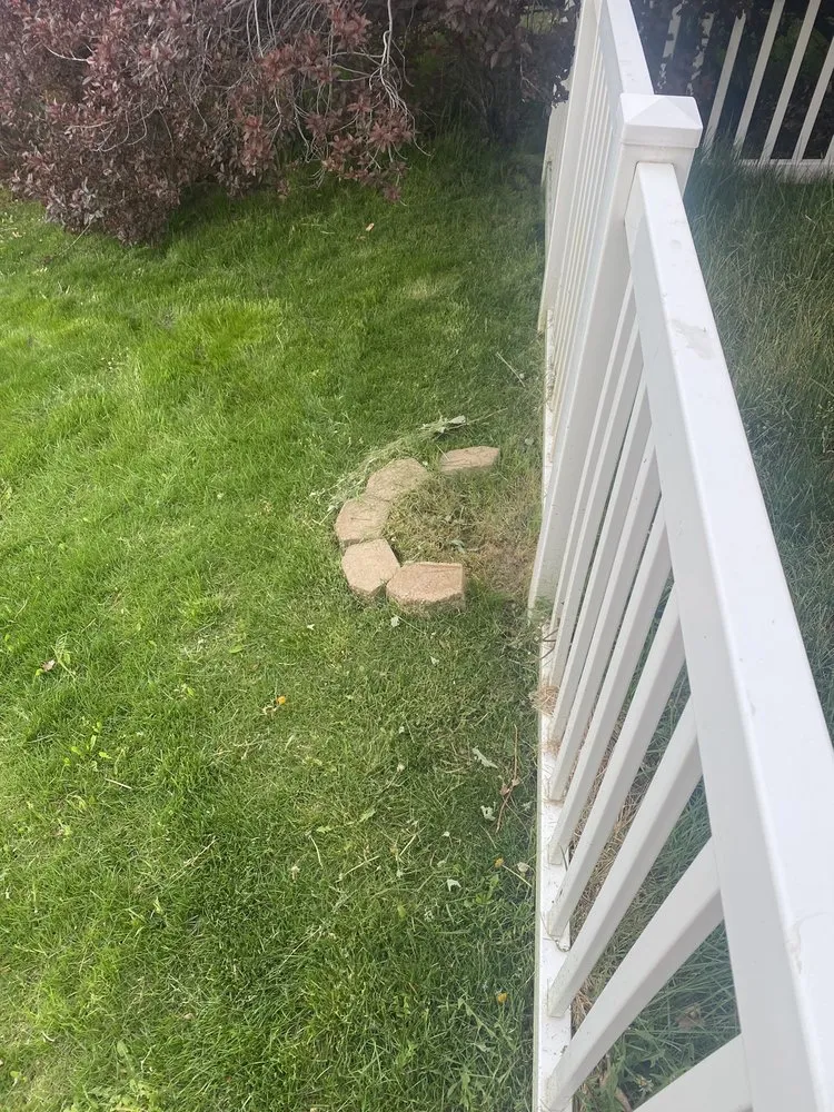 Reliable yard maintenance in Kearns, UT - Lawn Care MVP