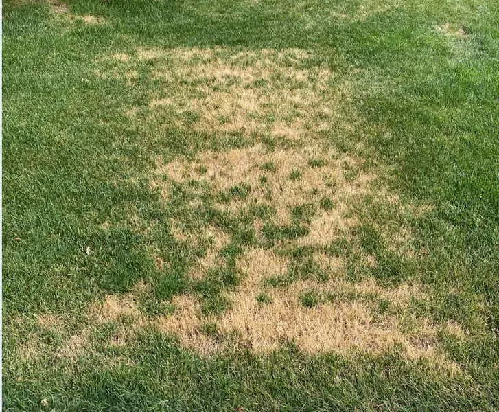 Expert garden landscaping in Kearns, UT by Lawn Care MVP