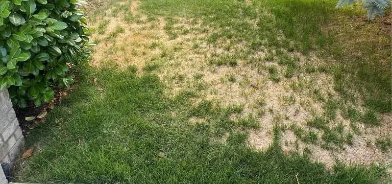 Trusted landscaping services in Kearns, UT - Lawn Care MVP