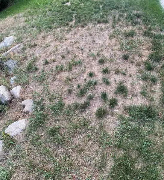 Professional landscaping services experts serving Kearns, UT - Lawn Care MVP