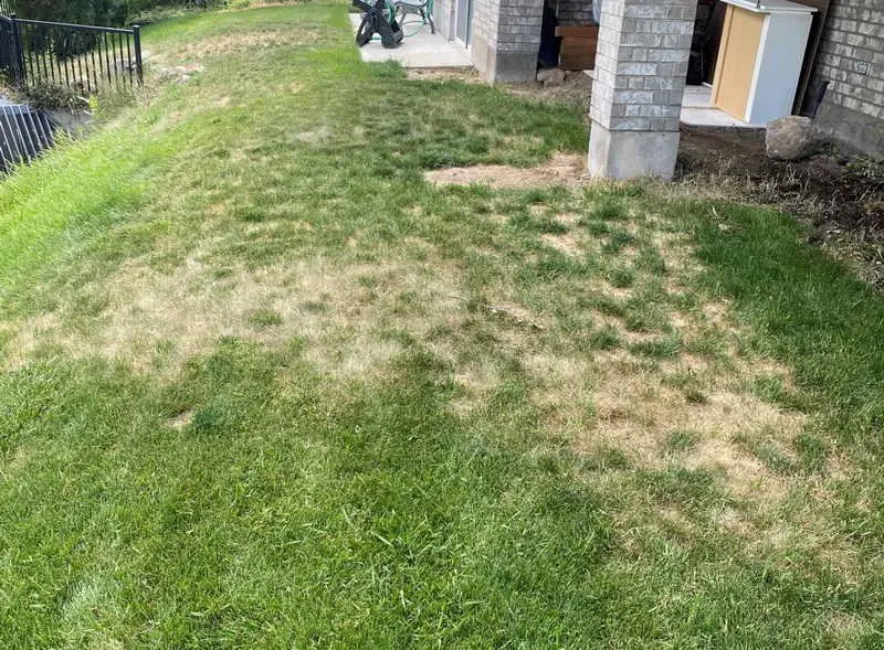 Top-rated lawn mowing service with custom design across Kearns, UT - Lawn Care MVP